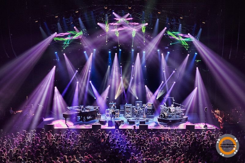 Phish by John Margaretten