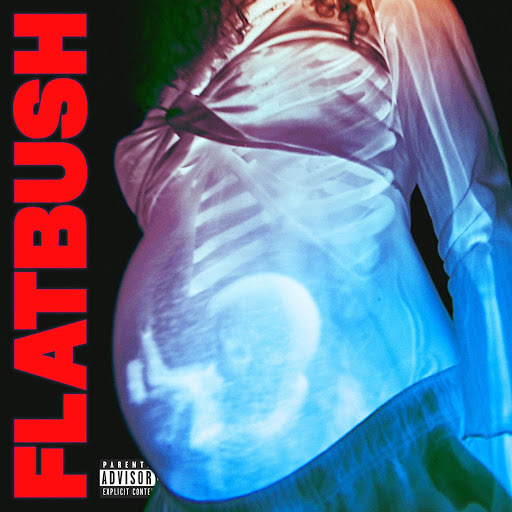 Flatbush ZOMBiES - "Afterlife"