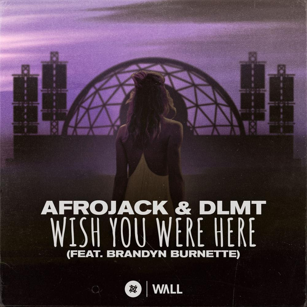 Afrojack & DLMT – Wish You Were Here 
