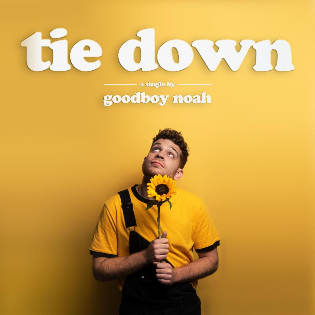 goodboy noah - Tie Down