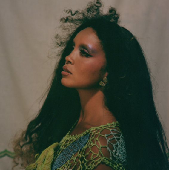 Signs - Lion Babe