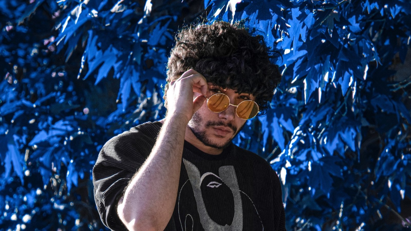 infparsa