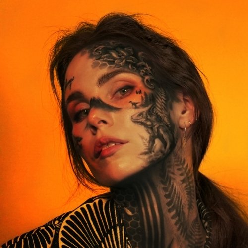 Skott