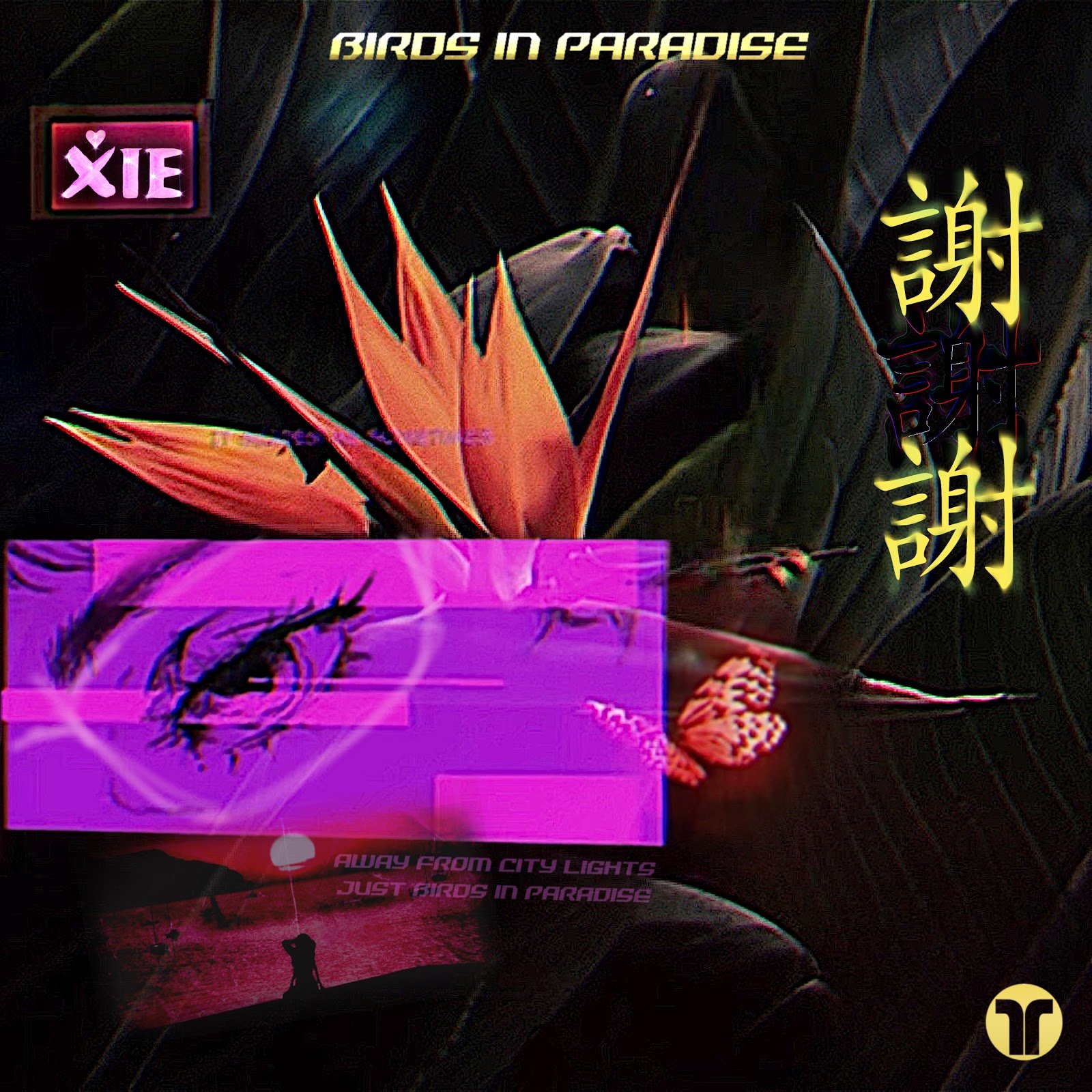 XIE - "Birds In Paradise" 