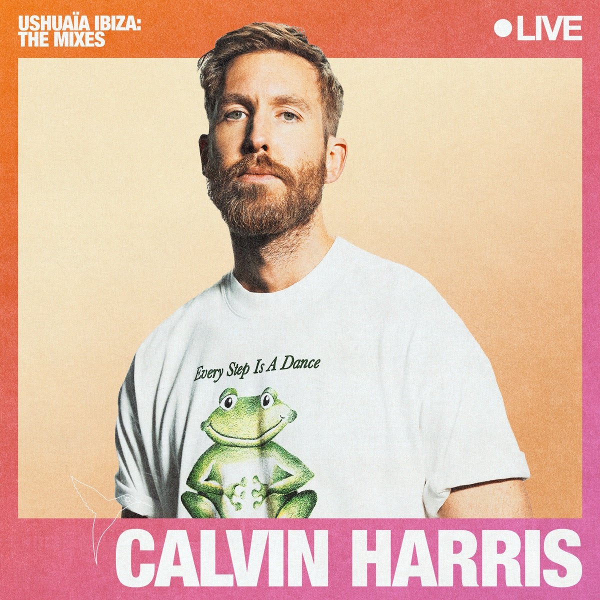 Calvin Harris Live at Ushuaïa Ibiza Mix