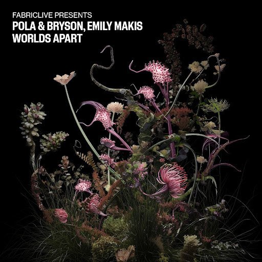 Pola & Bryson x Emily Makis - Worlds Apart